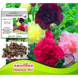 เมล็ดพันธุ์ฮอลลี่ฮ็อค ดอกซ้อน  (Hollyhock Flower Mixs) เมล็ดดอกไม้ เมล็ดพันธู์ดอกไม้ ฮอลลี่ฮ็อค ดอกฮอลลี่ฮ็อค ปลูกดอกไม้