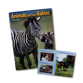 Wel-B Animal and their babies หนังสือเด็ก หนังสือภาษาอังกฤษสำหรับเด็ก สื่อการเรียนรู้ นิทาน