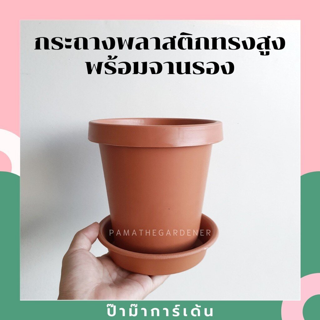 กระถางพลาสติกทรงสูงพร้อมจานรอง กระถางขนาด6นิ้ว