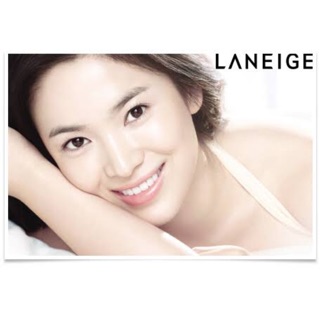 Laneige UV Total Base SPF40 PA++