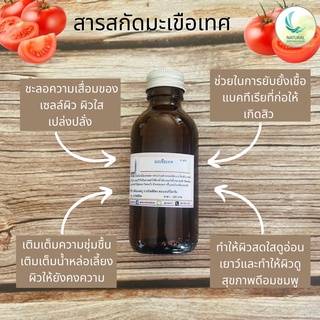 สารสกัด มะเขือเทศ ( Tomato EXTRACT ) สารสกัดจากธรรมชาติ 100% ขนาด 50 g.