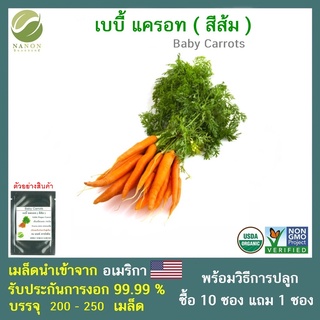 เมล็ดเบบี้ แครอท (สีส้ม) จำนวน 200-250 เมล็ด