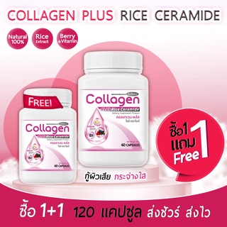 🔥 ส่งฟรี! ส่งไว 🔥 CN Collagen คอลลาเจนจากเซราไมด์ที่ได้จากข้าว  ผิวพรรณสดใส มีออร่า ลดการเกิดสิว 1 แถม 1 (120 แคปซูล)