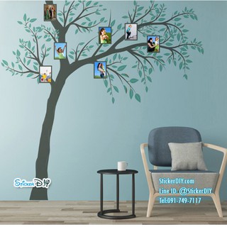 Bigsize Transparent Wall sticker สติ๊กเกอร์ติดผนัง ต้นไม้กรอบรูป JM7337 (กว้าง260xสูง270cm.)