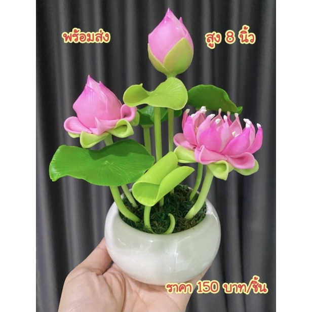 ดอกบัวดินปั้นพร้อมกระถาง ดอกบัวประดิษฐ์ ดอกบัวบูชาพระบูชาสิ่งศักดิ์สิทธิ์ สูง 8 นิ้ว ราคา ถูกที่สุด ดีลบีเคเค รูปภาพหลัก