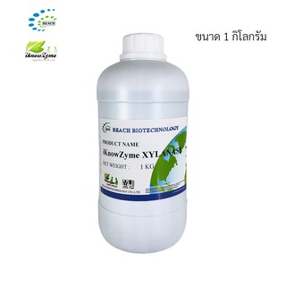 iKnowZyme Xylanase เอนไซม์ไซลาเนส ขนาด 1 กิโลกรัม