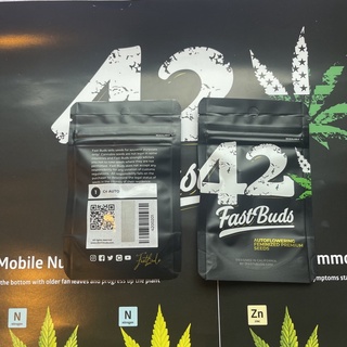 เมล็ดกัญชา C4 matic (Auto)- Fastbuds