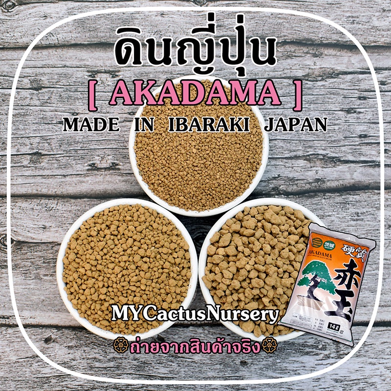 ดินญี่ปุ่น อาคาดามะ Akadama Soil Made in IBARAKI JAPAN พร้อมส่ง 3 Size ...
