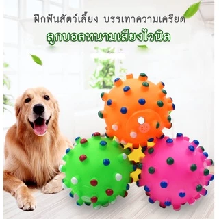 AL-107 ลูกบอล ของเล่นแมว บีบกัดมีเสียง ลูกบอลยาง ของเล่นสุนัข ของเล่นหมา ยางกัดหมา มีเสียงปี๊ป ลูกบอลมีเสียง