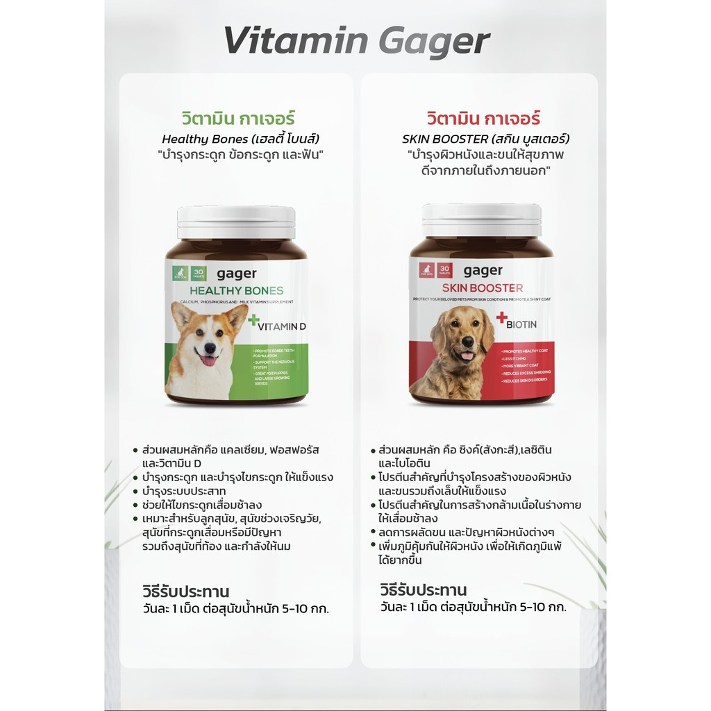Gager (กาเจอร์) วิตามินสุนัข วิตามินหมา Healthy Bones บำรุงกระดูก ฟัน ...