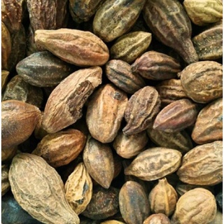 สมอเทศ ขนาด 100 กรัม (ภาพถ่ายจากสินค้าจริงทั้งหมดค่ะ)