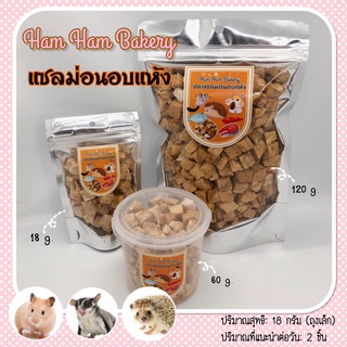 (Ham Ham Bakery)  เเซลม่อนอบแห้ง (กะปุกทดลอง) ขนมหนูเเฮมเตอร์ อาหารหนูแฮมสเตอร์ กระรอก ชูการ์ ดอร์เม้าท์ เม่นเเคระ