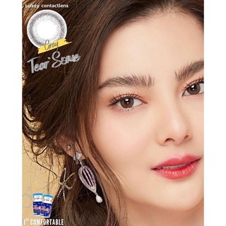 🦄🌈Luxzy Tearsame Gray คอนแทคเลนส์รายเดือน สีเทา นุ่ม สบาย มีเก็บเงินปลายทาง