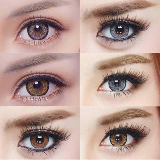 Nudy 3 Tone / 4 Tone / Glamour / Jewel 3 Tone บิ๊กอาย เทา น้ำตาล สายตาปกติ คอนแทคเลนส์ Contact Lens GRAY Brown Bigeyes