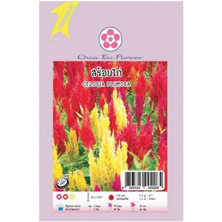 CELOSIA PLUMOSA เมล็ดพันธุ์ ดอกสร้อยไก่ เมล็ดพันธุ์ ปุ๋ยและเมล็ดพันธุ์ สวนและอุปกรณ์ตกแต่ง CELOSIA PLUMOSA