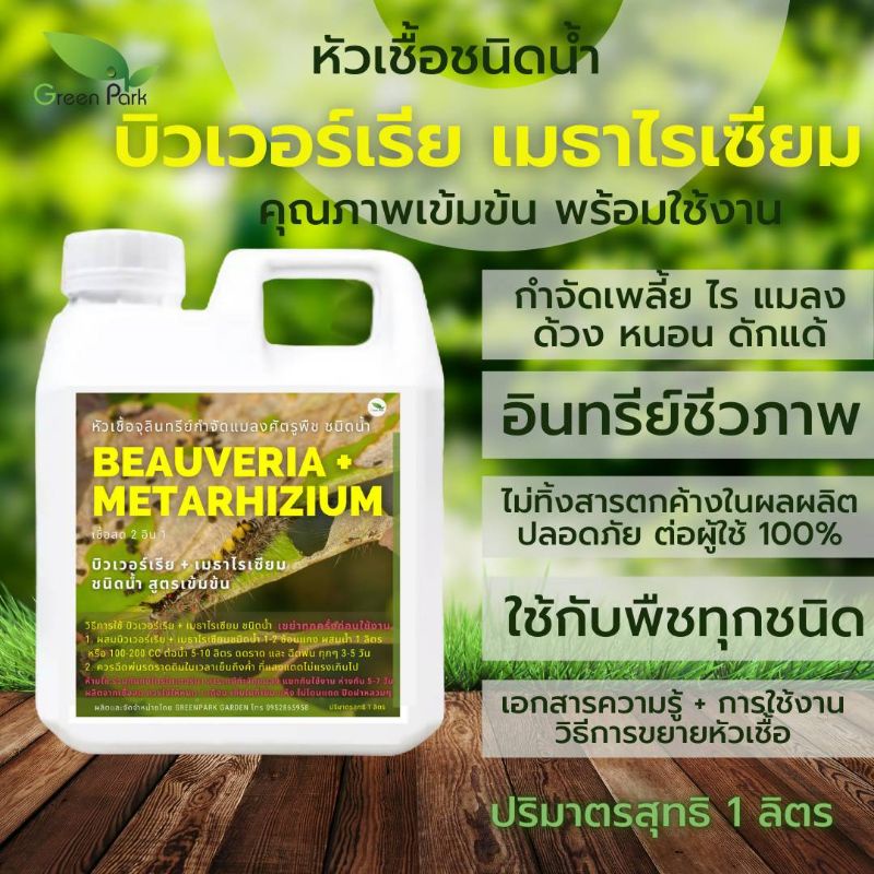 บิวเวอร์เรีย เมธาไรเซียม ขนาด 1 ลิตร Green Park กำจัด เพลี้ย แมลง หนอน ไร ด้วง ชีวภาพ พืช กระท่อม