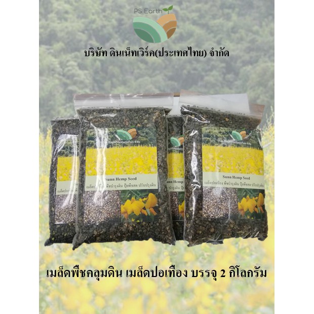 เมล็ดพืชคลุมดิน-เมล็ดปอเทือง 2 กิโลกรัม Covercrop-Sun Hemp seeds 2 Kg