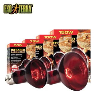 Exo Terra -Infrared Basking Spot  75W หลอดไฟอินฟาเรดให้ความร้อนช่วงกลางคืน 75/50​วัตต์？