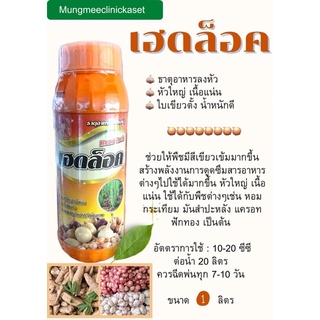 เฮดล็อค 1ลิตร ลงหัว หัวใหญ่ เนื้อแน่น