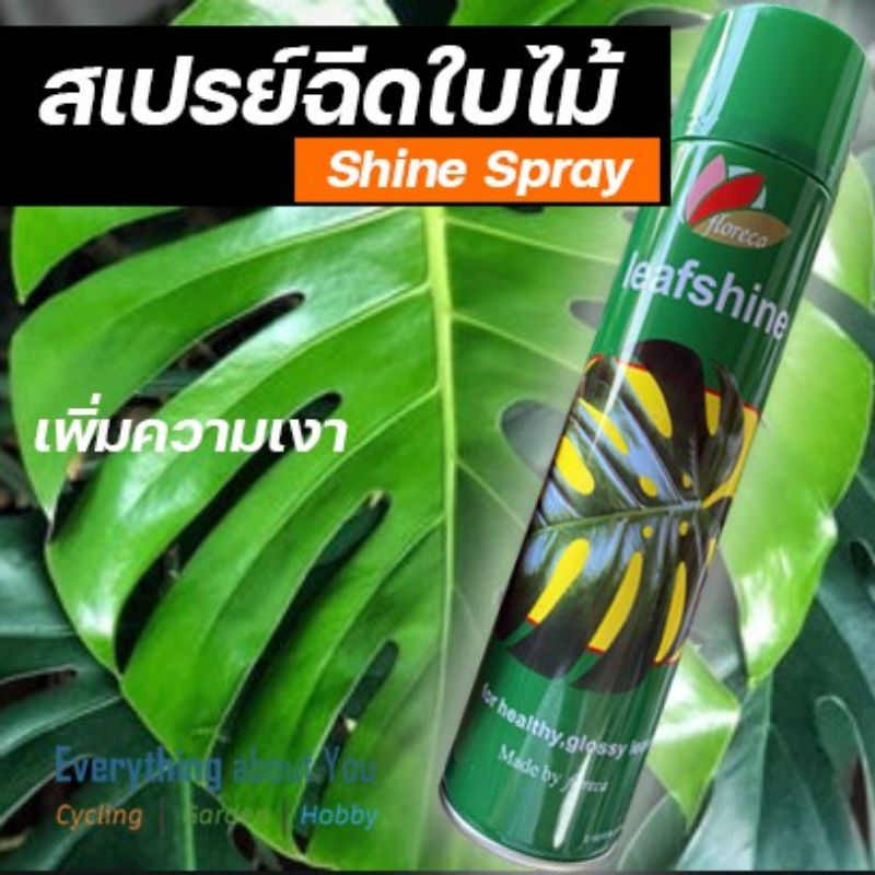 ฉีดพ่นใบไม้เงางาม FLOREACA LEAFSHINE 600ML ((ขวดใหญ่สุดจ้า)พร้อมส่งใช้ฉีดพ่นเพื่อเคลือบใบไม้ ให้ดูมันเงา ไม่เฉารักษาใบ