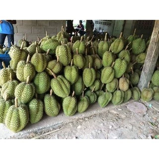 ทุเรียนทอดเกรดA ทุเรียนทอดระยอง กรอบหอมหวานมัน อร่อยทอดใหม่ทุกวัน ทุเรียนหมอนทองระยอง