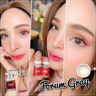 คอนแทคเลนส์ Forum Gray / Brown / Forum Easy (Lovelylens) ขนาดบิ๊กอาย 🌷 ตาฉ่ำ ตาหวาน แนว Dream + Oh Soul Bigeye ขายดีมาก