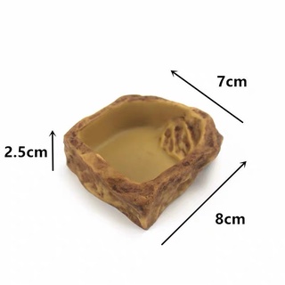 Reptile Structure ถาดอาหาร ที่ใส่อาหารและน้ำสำหรับ กิ้งก่า เต่าบกโต