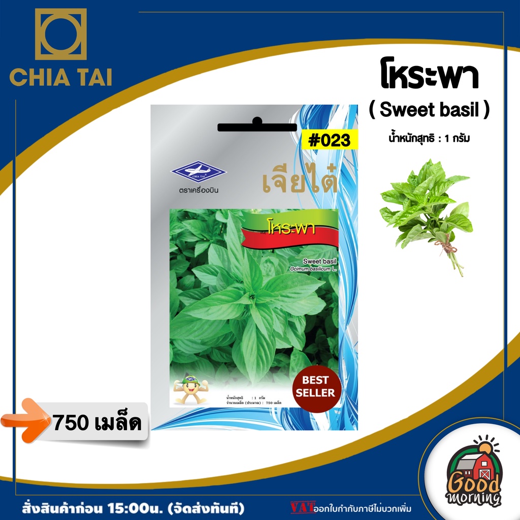 CHIA TAI ผักซอง เจียไต๋ โหระพา #023 OP เมล็ดพันธุ์ เมล็ดพันธุ์ผัก ผักสวนครัว ผักเจียไต๋ ตราเครื่องบิน