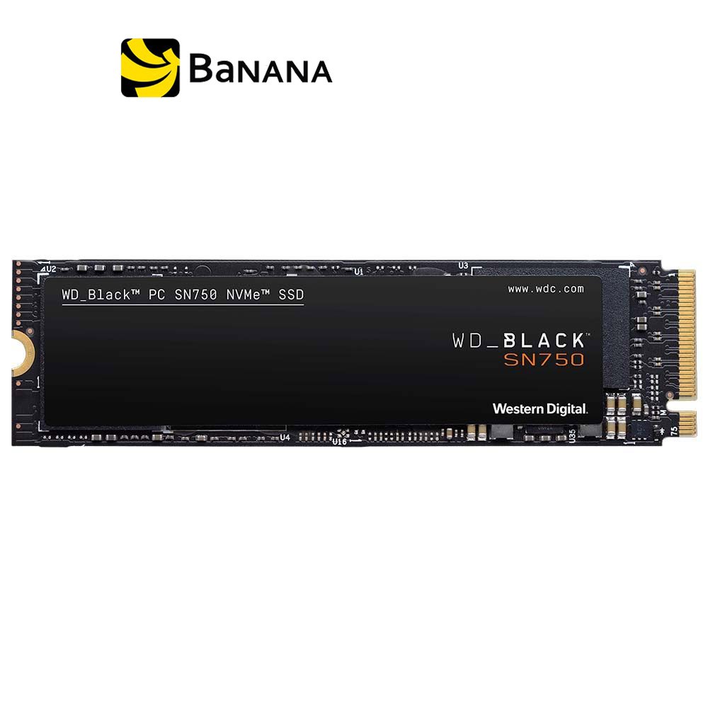 WD SSD 250GB M.2 PCIe/Nvme R3100MB/s W1600MB/s Black 5 Year (SN750 NVMe)