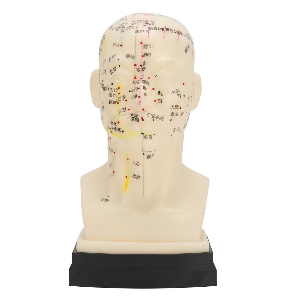 Soft Acupuncture Point Practice Massage Mannequin Head Dummy Head ...