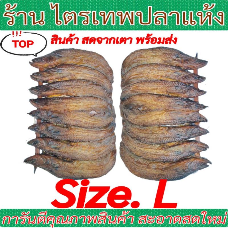 ปลาเนื้ออ่อนย่าง size.L มี1ไม้