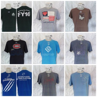 ตัวละ 20 บาท เสื้อยืดมือสองUSA Size L (43-46) ชุดที่1