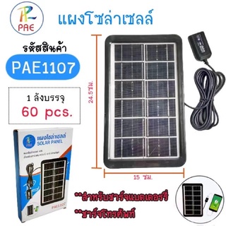 PAEแผงโซล่าเซลล์4w/solar panel