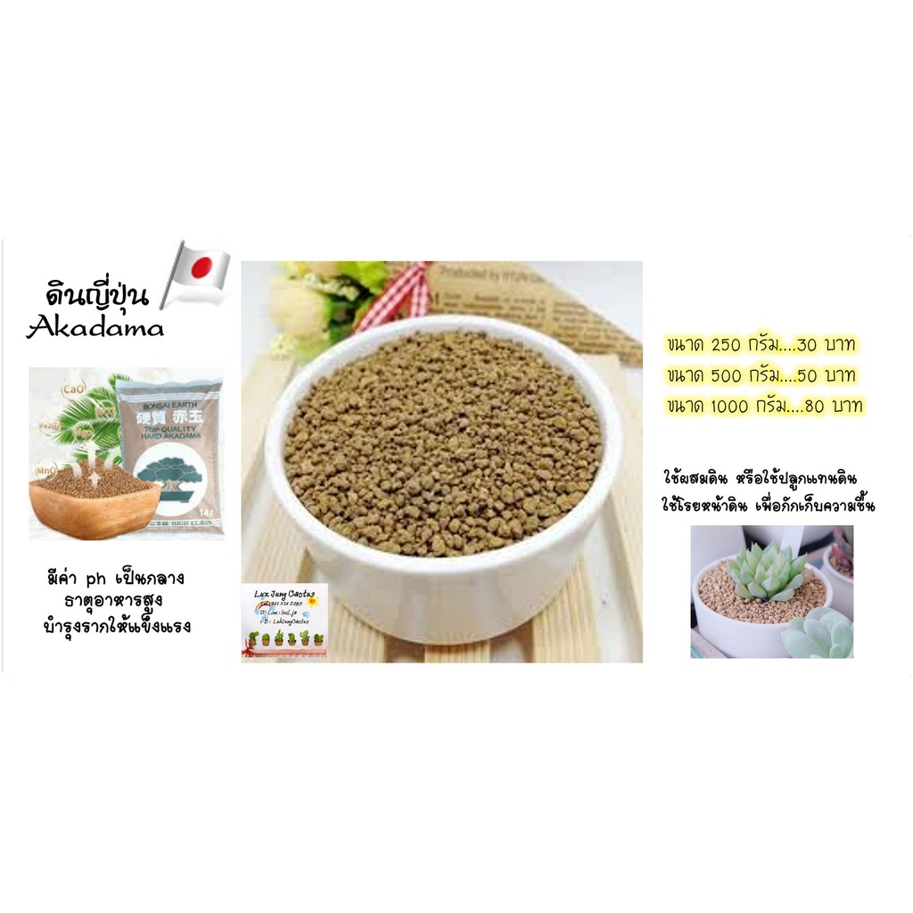 ดินญีปุ่น Akadama soil ใช้ผสมดินปลูกกระบองเพชร ไม้อวบน้ำ ไลทอป บอนไซ หรือใช้โรยหน้ากระถาง