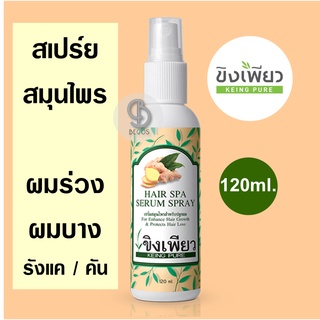 Keing Pure Hair Spa Serum Spray 120ml. เซรั่ม ขิงเพียว เซรั่มสมุนไพรสำหรับผมร่วง ผมบาง