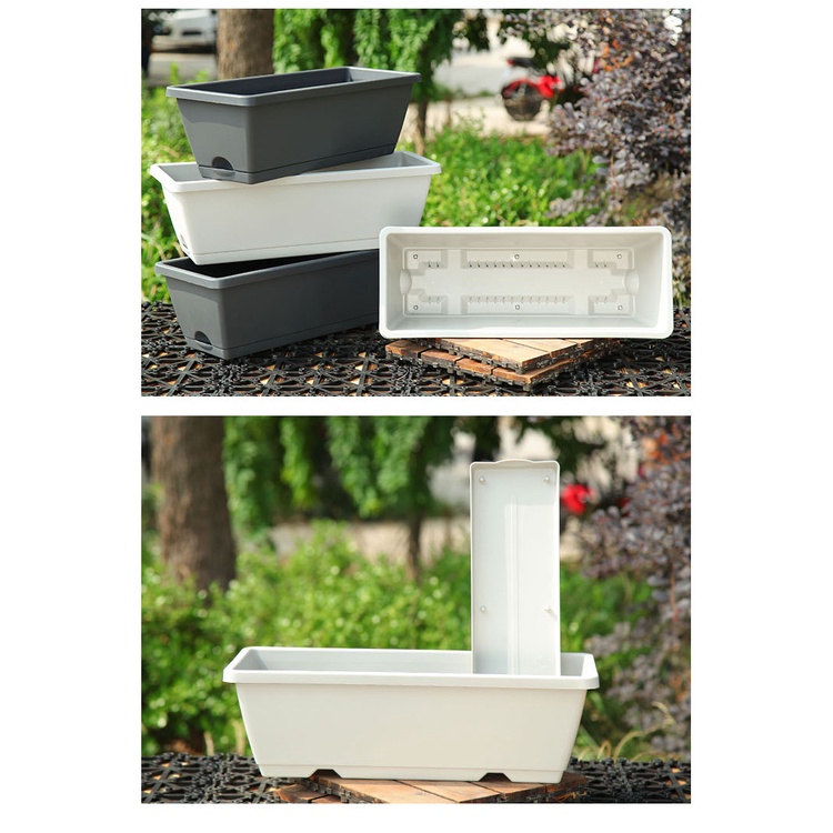 รูปภาพ 3