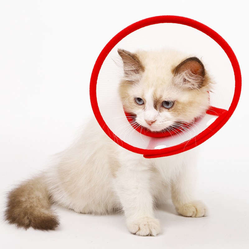 ปลอกคอกันเลีย สำหรับสัตว์เลี้ยง สุนัข แมว ลำโพงหมา ลำโพงแมว มีหลายขนาด ป้องกันการกัด ขอบเป็นผ้านุ่ม / Elizabethan collar - รูปที่ 6