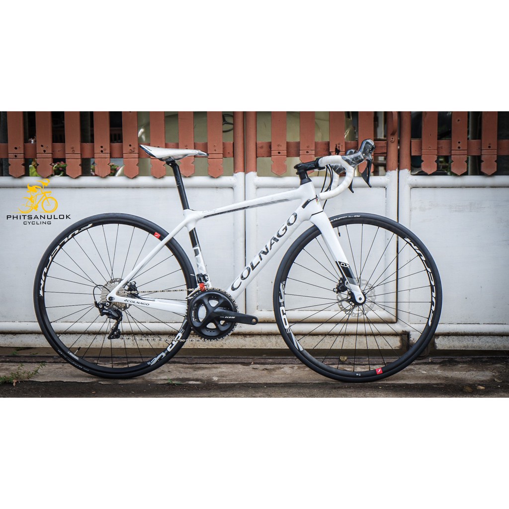 จักรยานเสือหมอบ COLNAGO CLX DISC 105