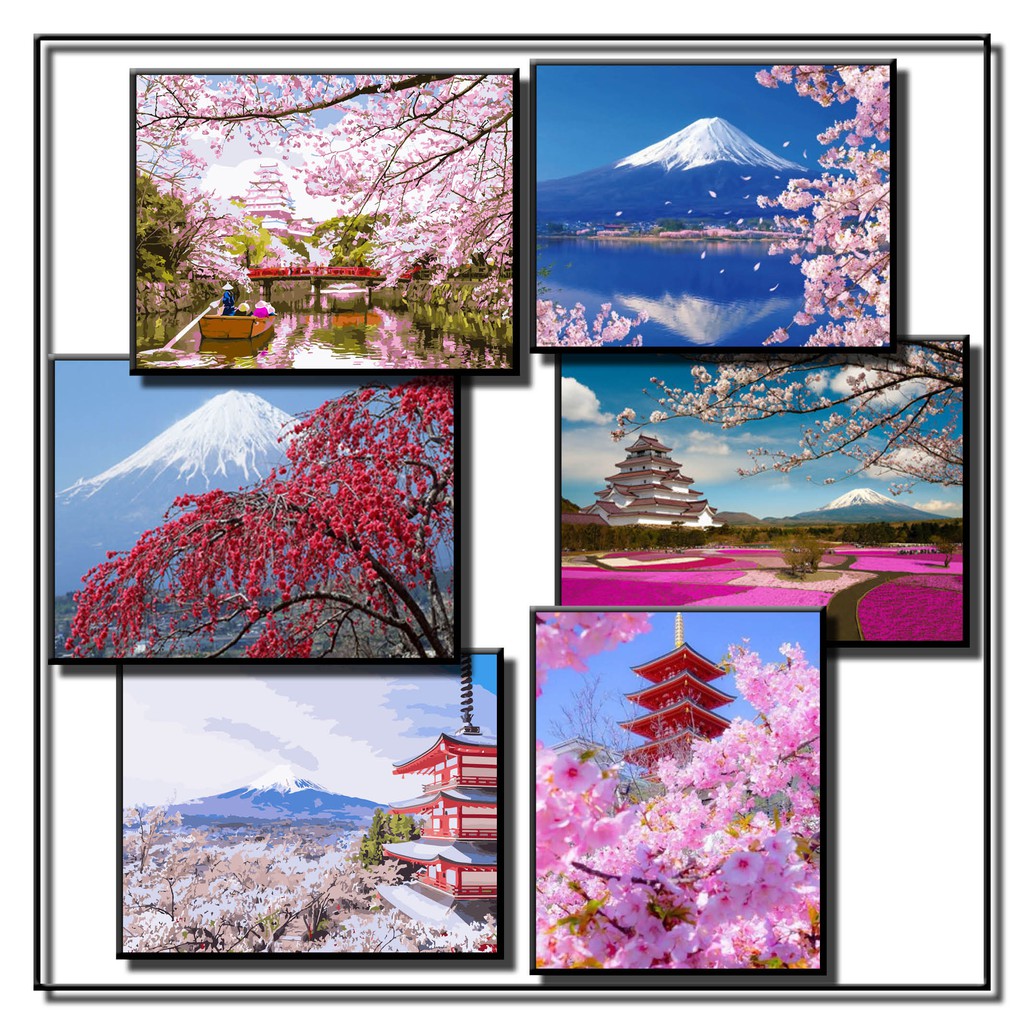 ภาพระบายสีตามตัวเลข ลายซากุระ สำหรับ DIY ขนาด 40*50 ซม.
