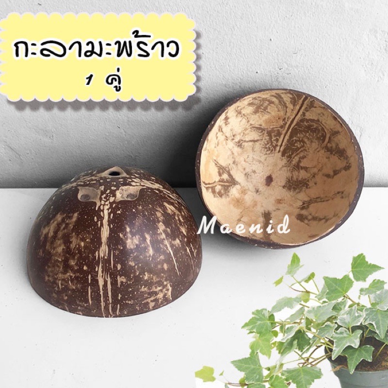 กะลาเหยียบนวดเท้า (2อัน) กะลามะพร้าว กะลานวดเท้า กะลานวดฝ่าเท้า กะลาผ่าซีก