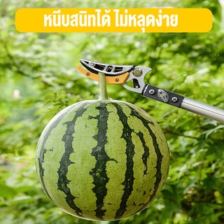 LEISPORT-กรรไกรตัดกิ่ง กรรไกรตัดผลไม้ กรรไกรตัดหนีบ กรรไกรตัดกิ่งด้ามยาว กรรไกรตัดกิ่งด้ามยาว เสายืดไสลด์โลหะผสมอลูมิเนี