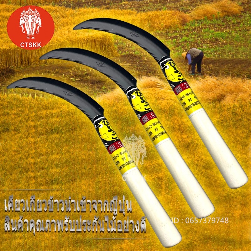 เคียวเกี่ยวข้าวเคียว เกี่ยวหญ้า เคียว 14 นิ้ว ความหนา 1.5มิล (นำเข้าจากญีปุ่น)