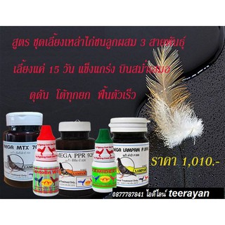 ชุดเลี้ยงผสม 3 สายพันธุ์ ชุดเลี้ยงผสมคุ้มสุดคุ้ม รับรองไม่ผิดหวังแน่นอน   ชุดละ 1,010 บาท