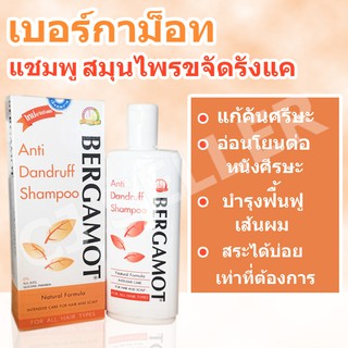 แชมพูขจัดรังแค เบอร์กามอท ของแท้ จากบริษัท แชมพู แชมพูสระผม บำรุงผม  200 ml