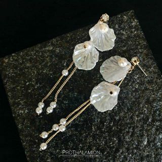 Korea Cute Seashell with Pearl and Diamond Gold Earrings : ต่างหู ตุ้มหู เกาหลี สี ทอง เปลือกหอย ประดับ เพชร และ มุก