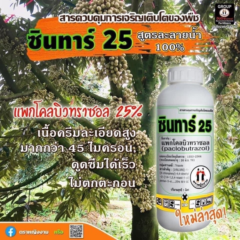 ซินทาร์25% สารแพกโคลบิวทราซอล #ตราหญิงงาม