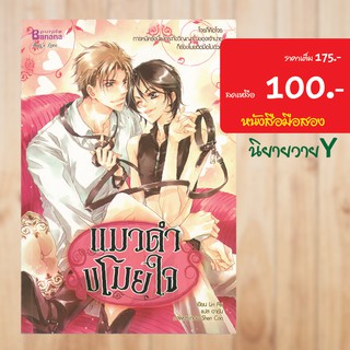 (Y) แมวดำโขมยใจ หนังสือมือสอง