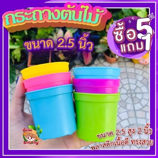 กระถางแคคตัส 2.5 นิ้ว (5แถม1) 🎍 กระถางปลูกแคคตัส กระถางกระบองเพชร กระถางพลาสติก เนื้อดี ทรงสวย