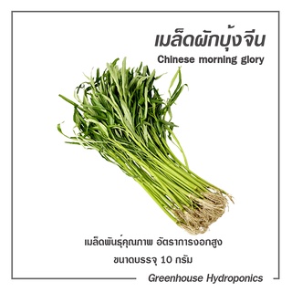 เมล็ดพันธุ์ผักบุ้งจีน คุณภาพ ขนาด 10 กรัม ซื้อ10 ฟรี 1