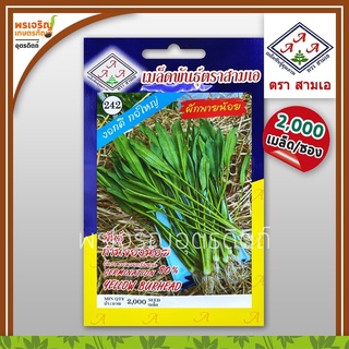 เมล็ดพันธุ์ ผักพายน้อย ก้านจองน้อย 3A (แบบซอง) เมล็ดผักพายน้อย เมล็ดพันธุ์ผักสวนครัว เมล็ดพันธุ์คุณภาพ ตราสามเอ